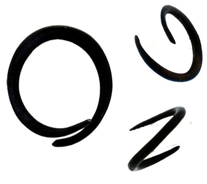 Mini expansion snails Horn