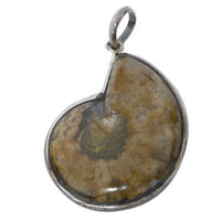 Load image into Gallery viewer, Muschel Anhänger Nautilus-Muschel umrandet von 925 Sterling Silber braun
