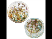 Load image into Gallery viewer, Two small transparent Acryl Plug Flüssigkeit Expander containers, filled with gold glitter and turquoise star confetti, are shown on a white background.
