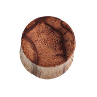 Load image into Gallery viewer, Holz Plug Zebraholz konkav Maserung braun hell dunkel
