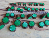 Load image into Gallery viewer, Various sizes of Holz Plug Sonoholz grün schillernd Resin Inlay double flared are arranged in rows on a wooden surface, with some placed next to a clear plastic ruler marked in centimeters.

