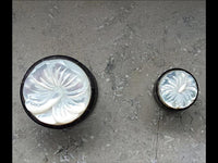 Load image into Gallery viewer, Plug Horn Perlmutt Hibiskus Blüte weiß double flared
