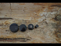 Cargar imagen en el visor de la galería, Horn Plug schwarz gewölbt glänzend Organic Piercing
