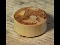 Cargar imagen en el visor de la galería, Flesh Plug Weltkarte Holz Welt Erde Globus double flared
