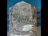 Cargar imagen en el visor de la galería, Halskette Koralle 925 Sterling Silber vergoldet 43-44,5cm
