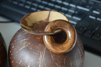 Cargar imagen en el visor de la galería, Ohr Piercing Parasitholz Holz Ohrgewicht Ring Donut
