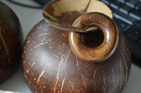 Cargar imagen en el visor de la galería, Ohr Piercing Parasitholz Holz Ohrgewicht Ring Donut
