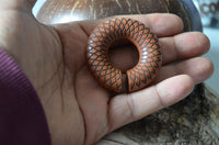 Load image into Gallery viewer, Ohr Donut Piercing Dahlie Holz Ohrgewicht Ring
