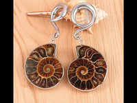 Cargar imagen en el visor de la galería, Nautilus Ohrgewicht Hook Piercing Edelstahl 4mm-8mm
