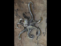 Cargar imagen en el visor de la galería, Ohrgewicht 4mm Hook White Brass Oktopus 70mm silbern
