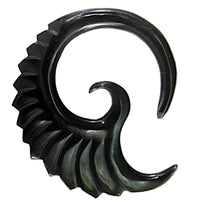 Load image into Gallery viewer, The Tribal Horn Piercing Expander Feder Spirale is crafted from black buffalo horn and features a spiral shape with a smooth inner curve and ridged, wing-like outer edge, echoing the look of a stylized feather or seashell.

