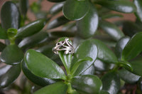 Cargar imagen en el visor de la galería, Ringe Filigran Muster 17 mm 925 Sterling Silber
