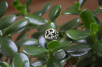 Cargar imagen en el visor de la galería, Ringe Nacht Sterne Mond 925 Sterling Silber breit massiv
