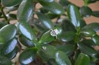 Cargar imagen en el visor de la galería, Silberring filigran Eule 925 Sterling Silber Ring
