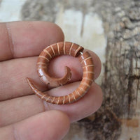 Load image into Gallery viewer, Fake Piercing Edelstahl Holz Seil Dehnschnecke
