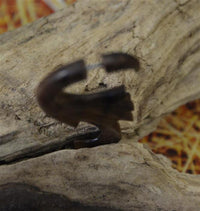 Load image into Gallery viewer, Fake Piercing Ohrring Flügel Haken 72mm Holz Edelstahl
