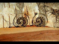 Load image into Gallery viewer, Spiralen Ohrringe Muschel Segmente Punkte Brass antik golden Tribal Piercing
