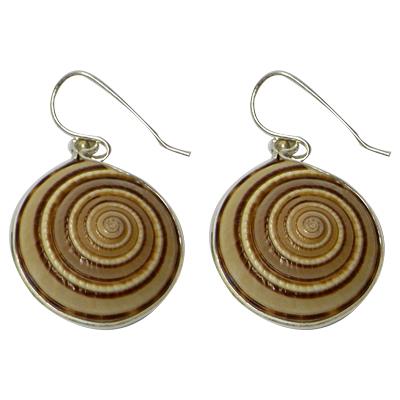 Silberohrringe mit Sonnenuhrschnecke