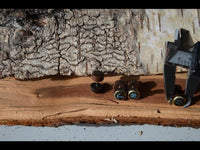 Load image into Gallery viewer, Fake Plug Piercing Edelstahl Holz Rand gold bemalt
