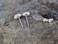 Load image into Gallery viewer, Ohrstecker, Weiß, aus Mondstein, 8mmØ, rund, 925er Sterlingsilber-Stift, in Silber gefasst
