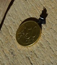 Load image into Gallery viewer, Chirurgenstahl Ohrstecker 8mm Stern schwarz PVD - chic - net.de
