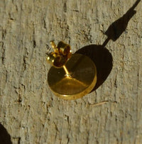 Load image into Gallery viewer, Ohrstecker Edelstahl Emaille gold orange Stern rund
