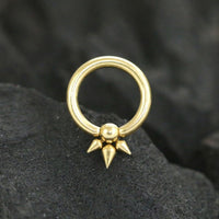 Load image into Gallery viewer, Exklusiver 316L Stahl PVD Gold BCR Piercing Schmuck - chic - net.de
