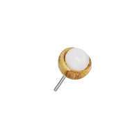 Load image into Gallery viewer, Gewindelose Piercing Enden 0.45mm Holz Stein Halbkugel - chic - net.de
