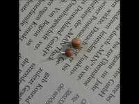 Load image into Gallery viewer, Gewindelose Piercing Enden 0.45mm Holz Stein Halbkugel - chic - net.de
