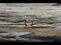 Load image into Gallery viewer, Klapp Segment Ring Piercing rechteckig Kristall schwarz - chic - net.de
