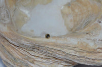 Load image into Gallery viewer, Labret Lippen Piercing Bio Acryl Amethyst antik golden Brass Tragus Conch Helix - chic - net.de
