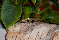 Load image into Gallery viewer, Messing Armreif golden Onyx rund Spirale Zopfrand verstellbar antik Tribal Schmuck - chic - net.de
