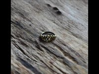 Load image into Gallery viewer, Nasen Ring Piercing Brass antik gold spiralig Nostril - chic - net.de
