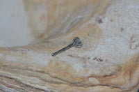 Cargar imagen en el visor de la galería, Nostril Piercing Nasenstecker Edelstahl Glitzer Stern - chic - net.de
