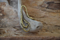 Load image into Gallery viewer, Ohr Piercing Brass gold Krähen Kralle Dehner 2mm - chic - net.de

