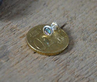 Cargar imagen en el visor de la galería, Ohrstecker 925 Silber E - Coat Muschel bunt rund - chic - net.de
