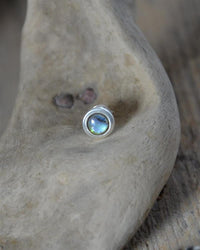 Cargar imagen en el visor de la galería, Ohrstecker 925 Silber E - Coat Muschel bunt rund - chic - net.de
