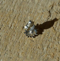 Cargar imagen en el visor de la galería, Ohrstecker 925 Sterling Silber Abalone E - Coat Sonne - chic - net.de
