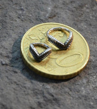 Load image into Gallery viewer, Universal Piercing Ring 925 Silber V Lorbeer Kranz
