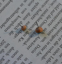 Load image into Gallery viewer, Gewindelose Piercing Enden 0.45mm Holz Stein Halbkugel
