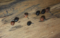 Load image into Gallery viewer, Gewindelose Piercing Enden 0.45mm Holz braun schwarz
