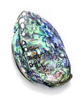 Load image into Gallery viewer, Silberanhänger Spider Paua Muschel Resin Stern rot weiß
