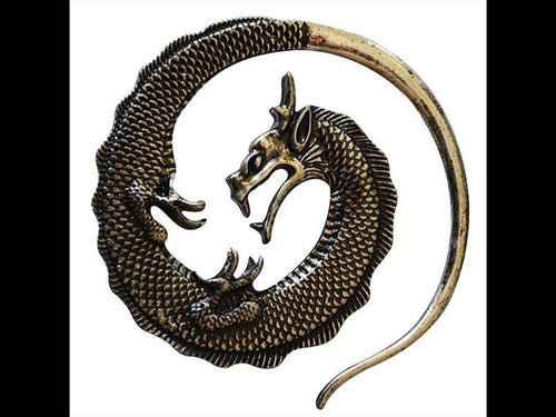Piercing Ohrgewicht White Brass Drache Spirale Dehnschnecke - chic - net.de