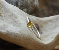 Load image into Gallery viewer, Ring Silber 925 vergoldet Kreis Streifen 1mm gebürstet - chic - net.de
