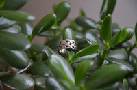 Load image into Gallery viewer, Silberring Netz Schleifen Ringe 925 Sterling keltisch Knoten Bandringe - chic - net.de
