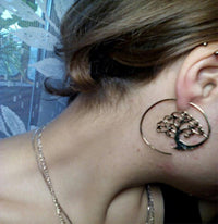 Cargar imagen en el visor de la galería, Spiralen Messing Ohrringe gold Nautilus Schnecke - chic - net.de
