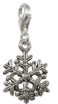 Load image into Gallery viewer, Silberanhänger Schneeblume Sterling Silber 925er Unisex Schmuck Charm Anhänger
