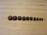 Cargar imagen en el visor de la galería, Nine round, black Plug Arangholz Wikinger Kompass Inlay double flared tokens of various sizes with gold markings, including a Viking Vegvisir Plug design, are lined up from largest to smallest on a light wooden surface.
