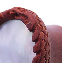 Load image into Gallery viewer, Plug braun Holz gemasert rund Schlange Muster Rand Muschel Inlay Perlmutt Piercing
