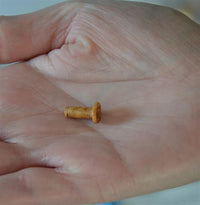 Load image into Gallery viewer, Olivenholz Flesh single flared Tunnel Lobe Piercing Holz konkav
